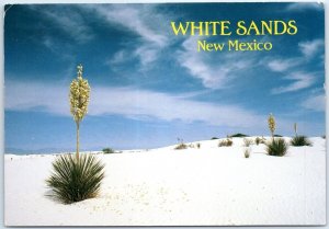 Postcard - White Sands - New Mexico