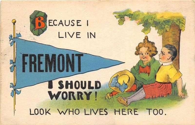 Fremont Ohio 1914 Postcard Boy Girl Under Tree Pennant