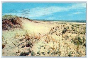 1957 Sand Dunes Scene Sandwich Beach Cape Cod Massachusetts MA Posted Postcard