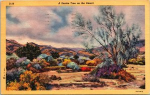 VINTAGE POSTCARD A SMOKE TREE ON THE DESERT MAILED FROM TUSCON ARIZONA 1950