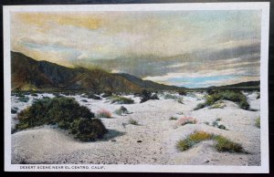 Vintage Postcard 1922 Desert Scene near El Centro, California (CA)