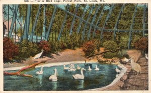 Vintage Postcard Interior Bird Cage Forest Park Fowl Species St. Louis Missouri