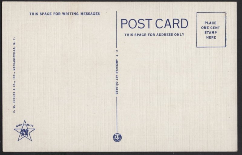 New York AUSABLE CHASM Column Rock ~ Linen