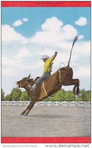 Cowboy Steer Riding