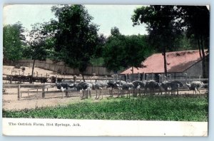 1908 Hot Springs Arkansas AR Vintage Postcard Ostrich Farm Exterior View Field
