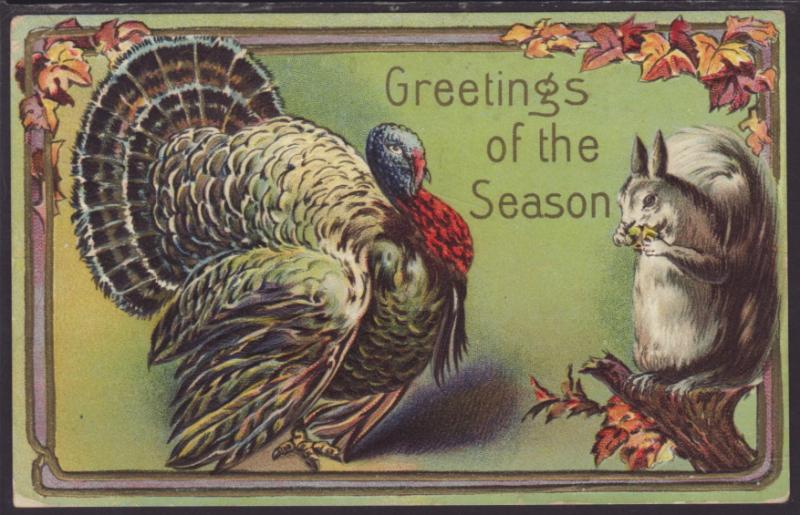 Greetings of the Season,Thanksgiving,Turkey,Squirrel