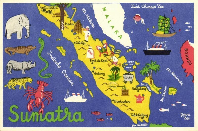 Indonesia Sumatra Map Postcard Elephant Lobster Tiger 1940s Hippostcard