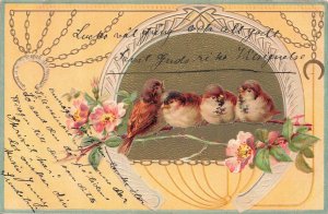 Antique Swedish Postcard Birds & Good Luck Wishes Råneå c.1910