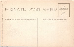 Postcard QC Rigaud Bird's Eye View St. Pierre Street River in Distance ~1910 K93