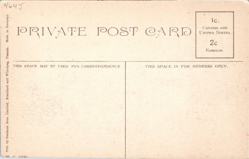 Postcard QC Rigaud Bird's Eye View St. Pierre Street River in Distance ~1910 K93