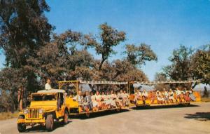 California Arboretum Jeep Trains guided tours vintage pc Z39969