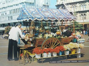 The Flower Cart Cathedral Square Christchurch New Zealand Vintage Postcard