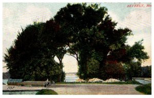 Massachusetts Beverly Natural Tree Arch Wenham Pumping Station