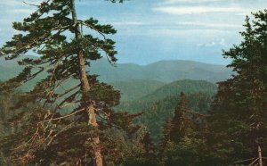 Vintage Postcard 1966 Clingman's Dome Indian Gap Great Smoky Mountain Nat'l Park