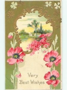 Divided-Back BEAUTIFUL FLOWERS SCENE Great Postcard AA3183