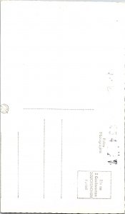 RPPC Postcard  Ybbsklamm Austria Dramatic Waterfall & Gorge Pisching Lower