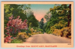 1950-60's GREETINGS FROM MT MOUNT AIRY MARYLAND MD VINTAGE LINEN POSTCARD 46932