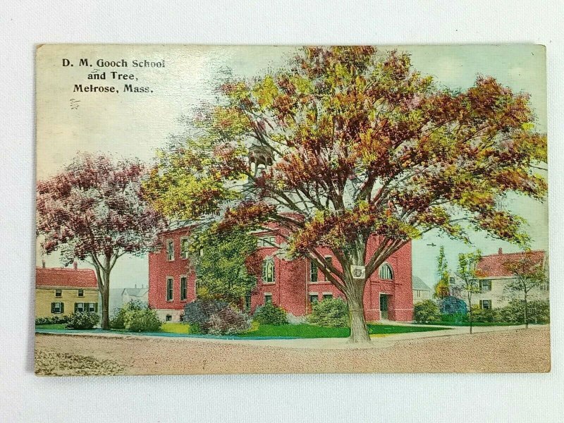 Vintage Postcard 1910's D.M. Gooch School and Tree Melrose MA Massachusetts