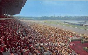 Hollywood Park Inglewood, California, CA, USA Horse Racing Unused 