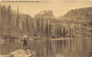 J24/ Estes Park Colorado Postcard c1910 W. T. Parke Hallet Peak Bear Lake 198