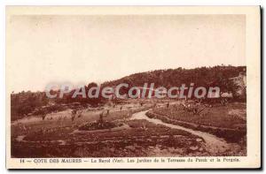 Old Postcard Cote des Maures Rayol Var Gardens Terrace and Patek Pergola