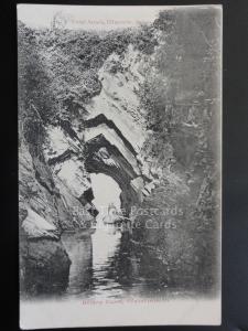 Devon: Briary Cave Watermouth c1905 Pub by Twiss Arcade of Ilfracombe