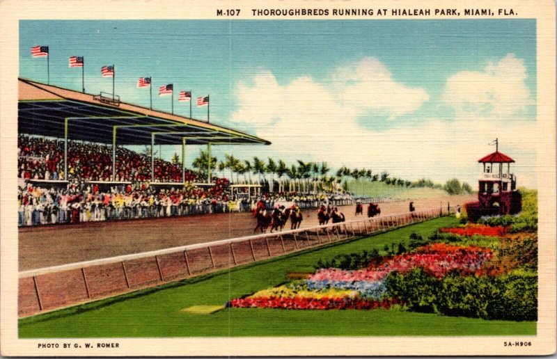 Linen PC Thoroughbreds Running at Hialeah Park in Miami Florida Horse Race Track