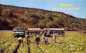 Salinas, Valley of Green Gold Farming Unused 