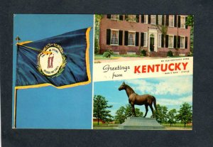 KY Greetings From Kentucky Horse Man O War Statue State Flag Postcard