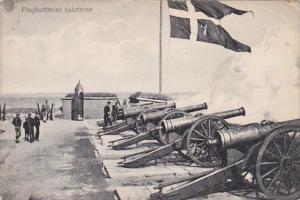 Denmark Flagbatteriet Saluterer