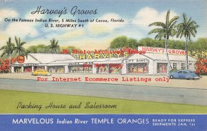 Advertising Linen Postcard, Harvey's Groves, Indian River, Cocoa Florida