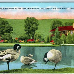 c1930s Sun Valley, ID Lake Challenger Inn Linen PC Canadian Geese Duck Cute A289