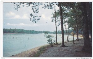 LAUREL, elaware; Trap Pond, PU-1950