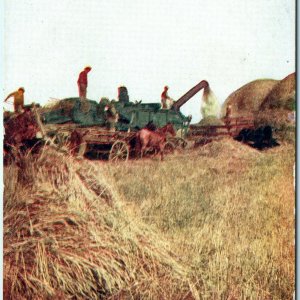 c1910s Manitoba, Canada Harvesting Wheat Postcard Thrasher Farm Men Horse A40