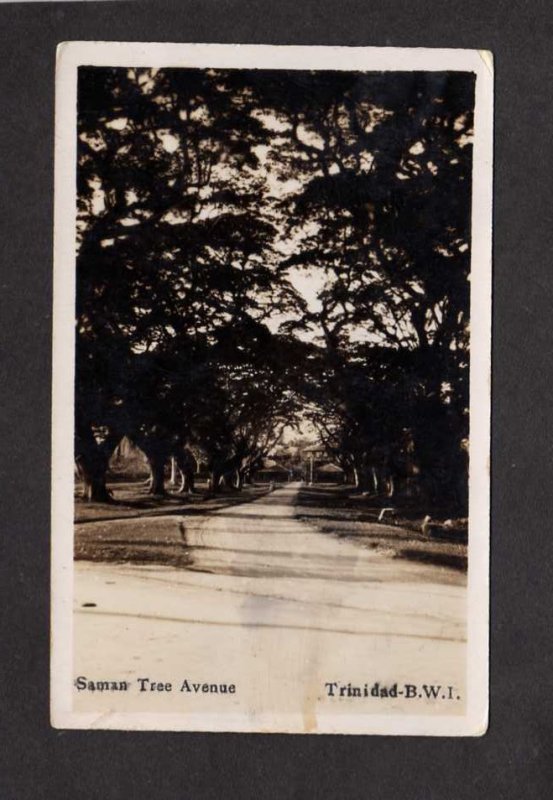 BWI Saman Tree Ave Trinidad British West Indies Postcard Real Photo RPPC