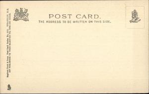 Franklin NH Pemigewasset River c1905 TUCK Postcard EXC COND