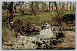 Peoria Illinois Sulphur Spring Glen Oak Park Postcard O24