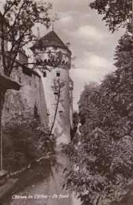 Switzerland Chateau de Chillon Le fosse Photo