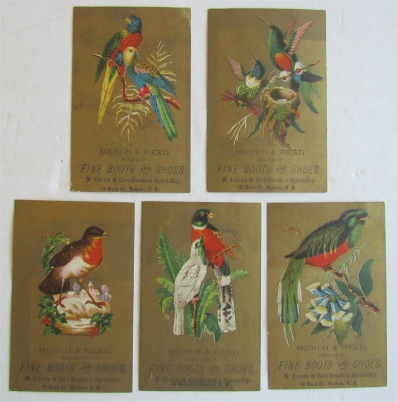 MURCH & REED BOOTS & SHOES BIRDS THEME SET OF 5 ANTIQUE VICTORIAN TRADE CARDS