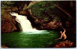 Postcard - The Cascades Trout Stream, The Homestead - Hot Springs, Virginia 