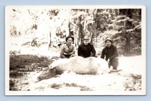 RPPC Men Posed with Elk Killed By Cougar Olympia Washington WA UNP Postcard Q5