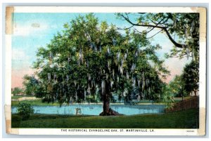 c1930's The Historical Evangeline Oak St. Martinville Louisiana LA Postcard