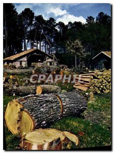 Modern Postcard the country Landais Old Farm on the edge of the forest