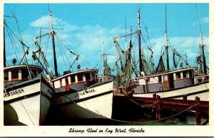 Florida Key West Shrimp Fleet