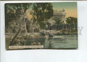 472737 Argentina Buenos Aires Zoo seals Vintage postcard