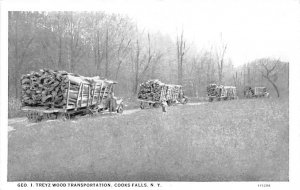 Geo I. Treyz Wood Transportation - Cooks Falls, New York NY  