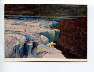 287592 RUSSIA Borisov Far North POLAR BEAR Vintage GIZ postcard
