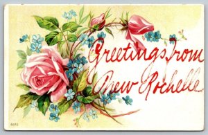 Cartão postal de Nova York New Rochelle-