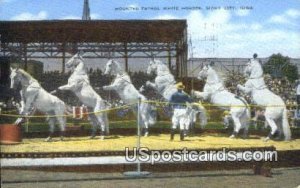 Mounted Patrol White Horses - Sioux City, Iowa IA  