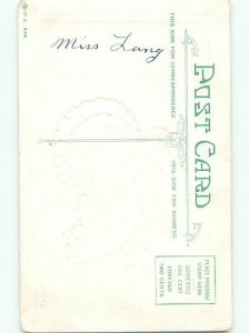 Divided-Back THANKSGIVING SCENE Great Postcard AA0709